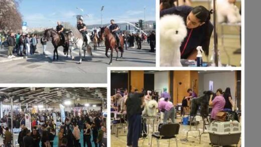 Megali-proselefsi-episkepton-stin-13i-Zootechnia