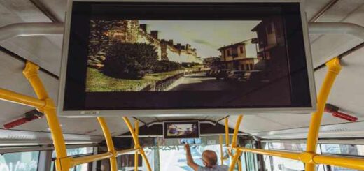 Synolika-22000-elegchoi-ton-Ianouariou-tou-2025-apo-tous-elegchtes-komistrou-tou-oasth