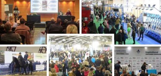 Zootechnia 2025-29-afksisi-tis-episkepsimotitas