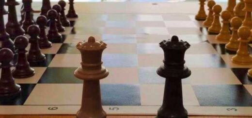 To-skaki-os-antikeimeno-Technis