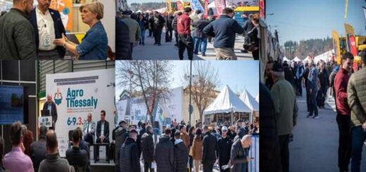 epikentro-tis-georgias-katesti-i-agrothessaly