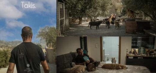 to-ntokimanter-takis-sto-27o-Festival-Ntokimanter-Thessalonikis