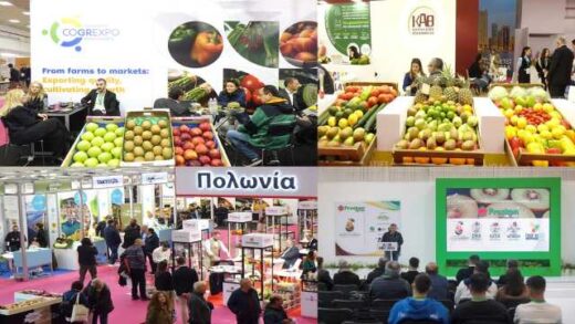 Eborikes-synergasies-kai-prosvasi-ton-ellinikon-frouton-kai-lachanikon-stis-diethneis-agores