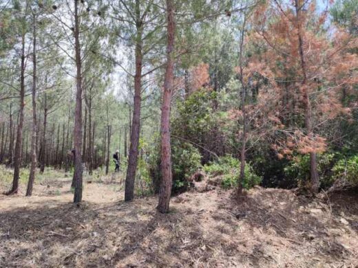 perissotera-apo-6-ekatommiria-euro- to-2025-gia-ti-prostasia-tou-Seich-sou