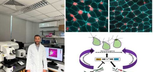 Pos-ta-simatra-asvestiou-kathodigoun-tin-ensomatosi-neon-kittaron