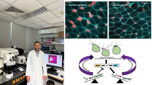 Pos-ta-simatra-asvestiou-kathodigoun-tin-ensomatosi-neon-kittaron