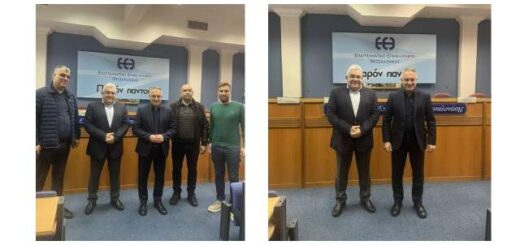 megali-anagki-gia-ti-katartisi-ton-elefteron-epaggelmation