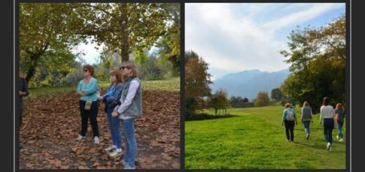 taxidi-eksoikiosis-me-stocho-tin-touristiki-provoli