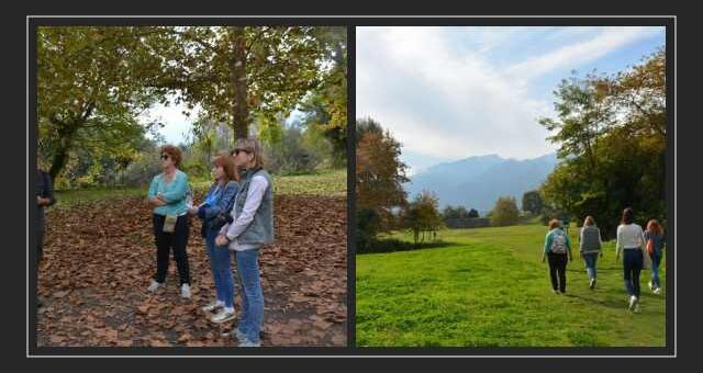 taxidi-eksoikiosis-me-stocho-tin-touristiki-provoli