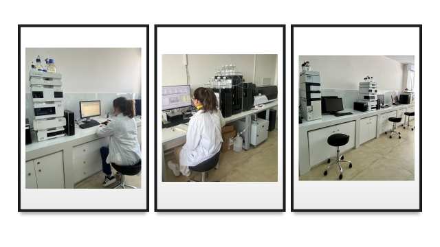 thorakizetai-i-asfaleia-ton-artoskevasmaton