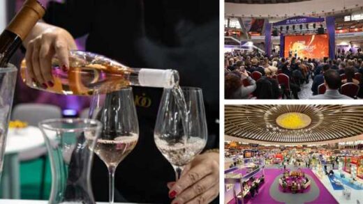 Wine Vision by Open Balkan