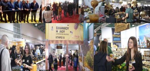 ano-ton-10000-episkepton-episkeptrion-sto-16o-festival-Ellinikou-Meliou-kai-proionton-melissas