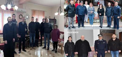 ethelonitiki-sygkentrosi-eidon-protis-anagkis