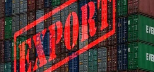 anodos-exagogon-simeiothike-to-noemvrio-tou-2025