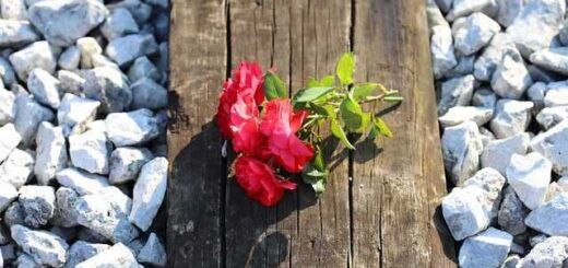 POESY-kalesma-gia-symmetochi-ton-dimosiografon-sta-syllalitiria-gia-ta-Tempi