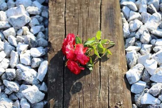 POESY-kalesma-gia-symmetochi-ton-dimosiografon-sta-syllalitiria-gia-ta-Tempi