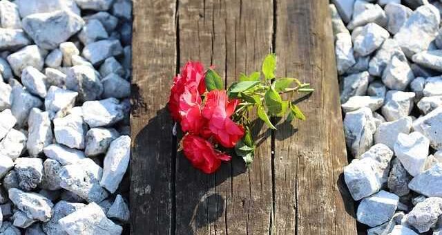 POESY-kalesma-gia-symmetochi-ton-dimosiografon-sta-syllalitiria-gia-ta-Tempi