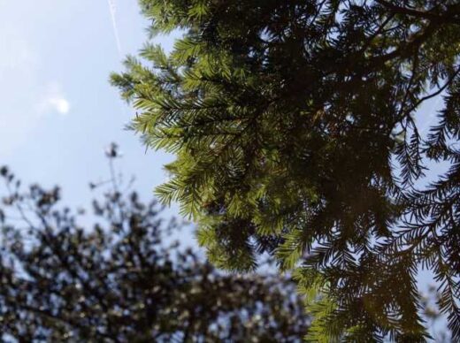 Epeigontos prepei na prostateftei o itamos stin Ellada