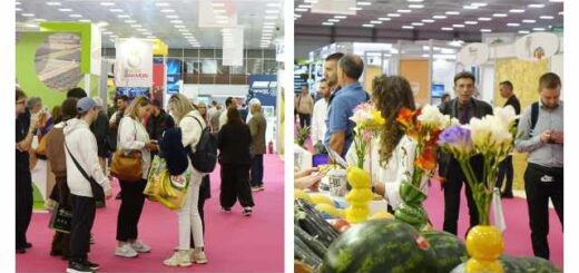 se-rythmous-dynamikis-exostrefeias-i-10i-freskon