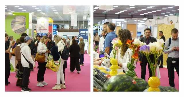 se-rythmous-dynamikis-exostrefeias-i-10i-freskon