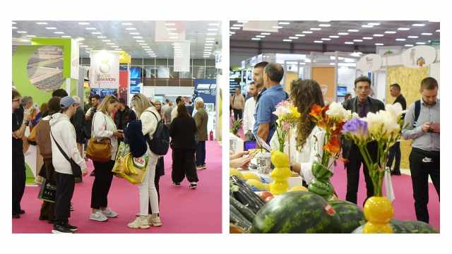 se-rythmous-dynamikis-exostrefeias-i-10i-freskon