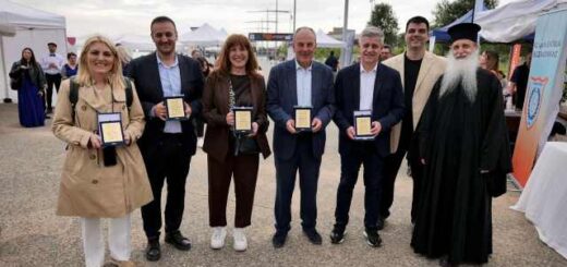 2o Festival dimiourgias gefsis kai paraolympiakou athlitismou 17
